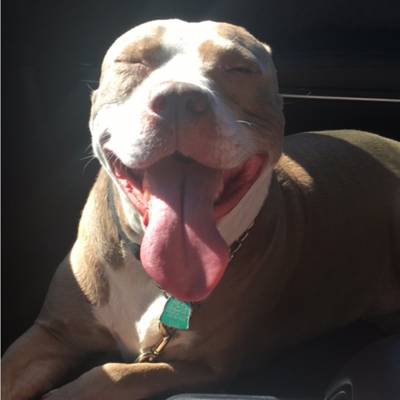 Meet your Posher, Kristy - Picture 2 of 5